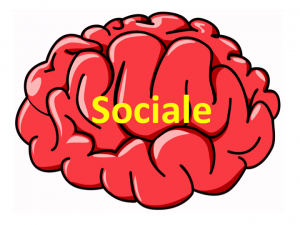 Hjerner_sociale