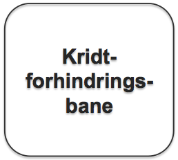 Tekstboks_Kridtforhindringsbane